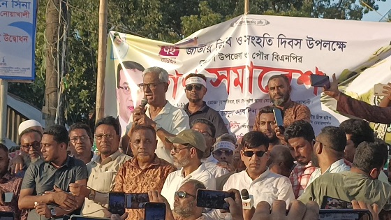 image-here